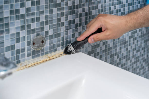 Best Local Mold Removal Service  in Long Beach, MS