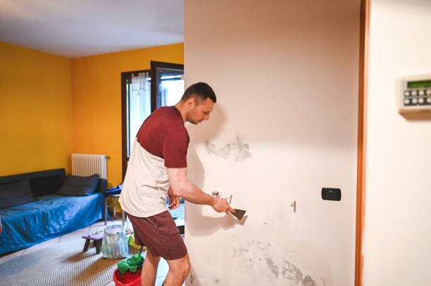 Best Best Mold Removal Companies  in Long Beach, MS